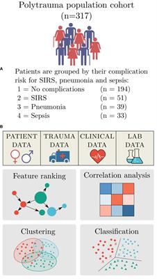 Utilizing predictive machine-learning modelling unveils feature-based risk assessment system for hyperinflammatory patterns and infectious outcomes in polytrauma